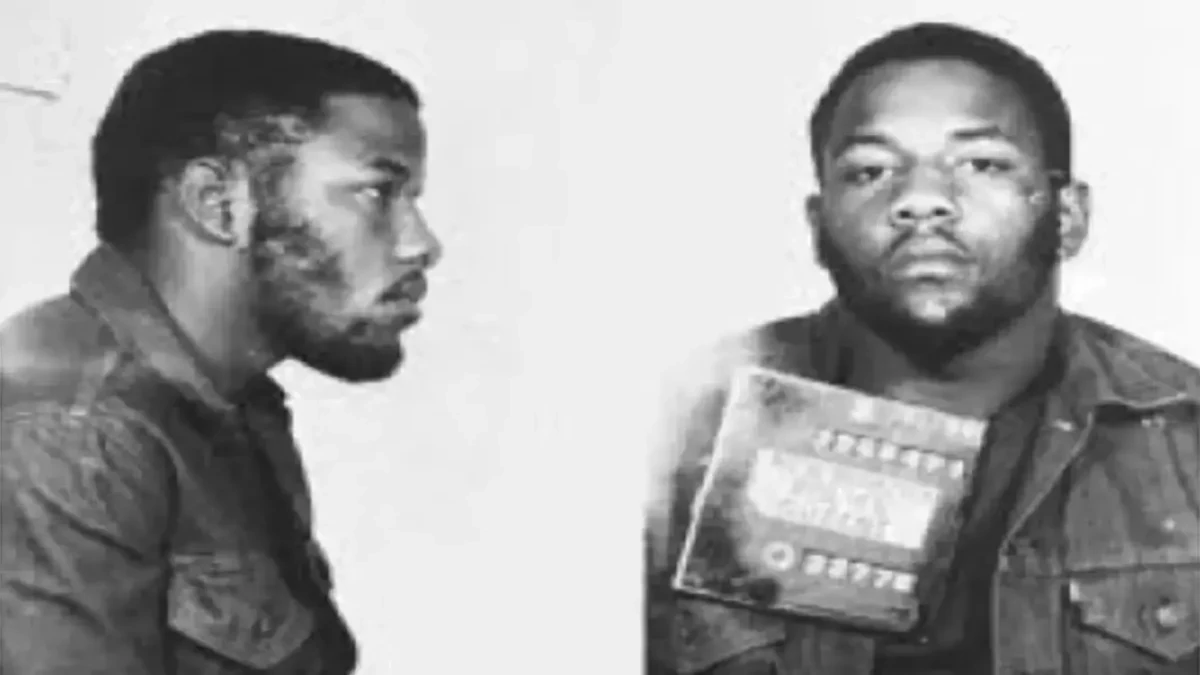 Lorenzo Fat Cat Nichols